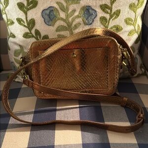 Madewell Gold Snakeskin Crossbody Bag
